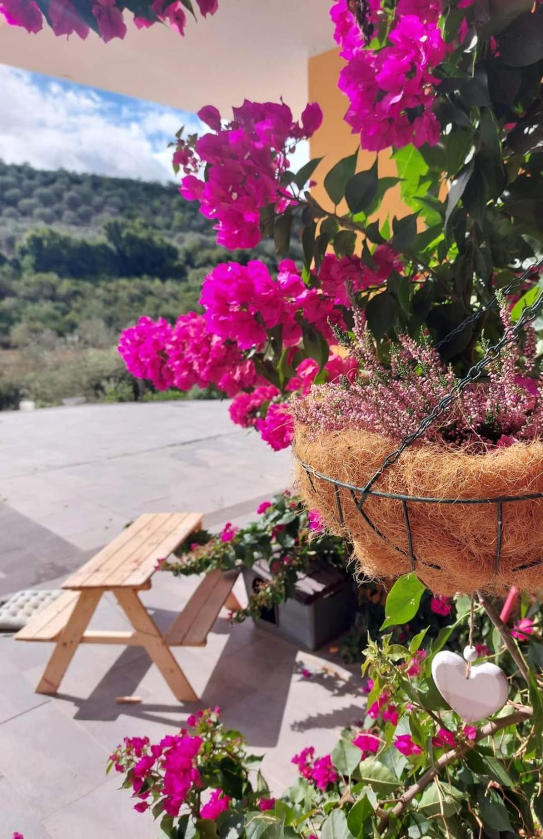 Villa I Sogni Sennori Экстерьер фото